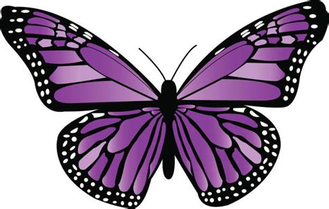 Purple Butterfly Clipart Illustrations Royalty Free Vector Graphics And Clip Art Istock