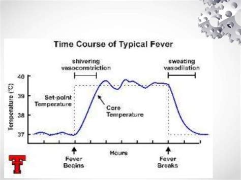 Fever Ppt By Dr Girish Jain