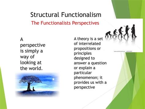 Structural Functionalism