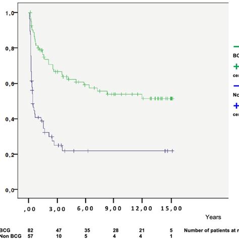 Progression Free Survival According To Treatment Bcg Or Not Bcg