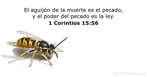 32 Versículos de la Biblia sobre Muerte DailyVerses net