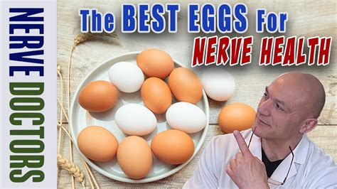 How To Choose The Right Egg For Nerve Healing The Nerve Doctors Youtube