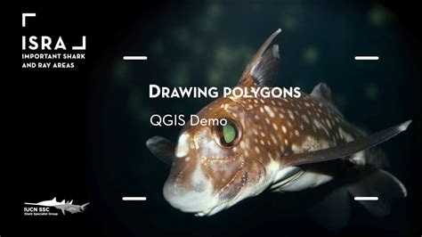 3 2 Drawing Polygons QGIS Demo YouTube