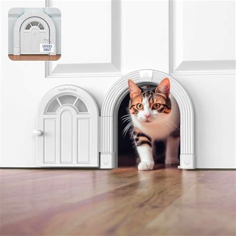 20+ Cute and Creative Interior Cat Door Ideas - Whiskers Magoo