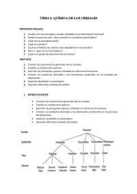 TEMA 2 QUÍMICA DE LOS CEREALES Apuntes de Bromatología Docsity