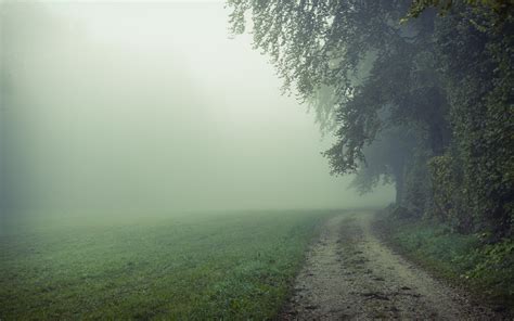 Foggy Field Wallpapers 4k Hd Foggy Field Backgrounds On Wallpaperbat