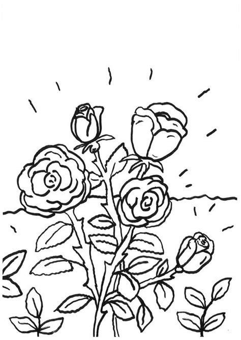 Download 25 Dibujos De Rosas Para Colorear Faciles