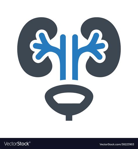 Urology Icon Royalty Free Vector Image Vectorstock