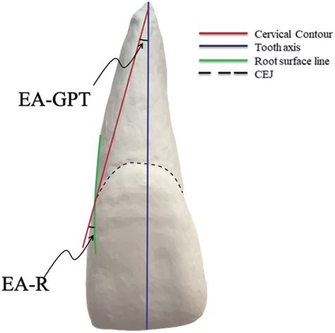 Diagram Illustrating The Two Methods For Measuring The Emergence Angle Download Scientific