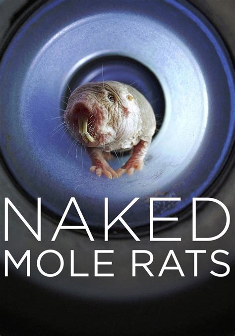 Naked Mole Rats película Ver online en español