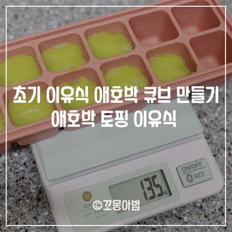 5개월 아기 초기 이유식 애호박 큐브 만들기 애호박 토핑 이유식 애호박 씨 알레르기 네이버 블로그