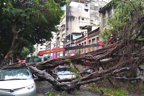 疑雨彈釀災！進擊的巨樹「大仆街」壓爛5車 3屋遭殃直直撞 上報 焦點