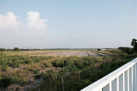 二仁溪流域濕地｜台南仁德秘境！可騎自行車還可以划獨木舟的自然生態區