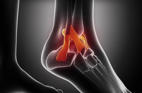 Dr Mike Smith Orthopaedic Foot Ankle Knee Surgeon Adelaide