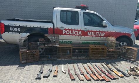 Batalhão Ambiental descobre fábrica clandestina de armas Portal