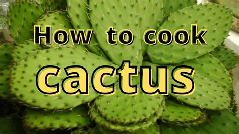 Mexico Cheesy Cactus Nopal How To Cook Cactus Nopal At Home