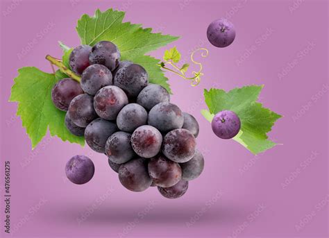 Black Wine Grape Isolated On Purple Background Kyoho Grape With Leaves