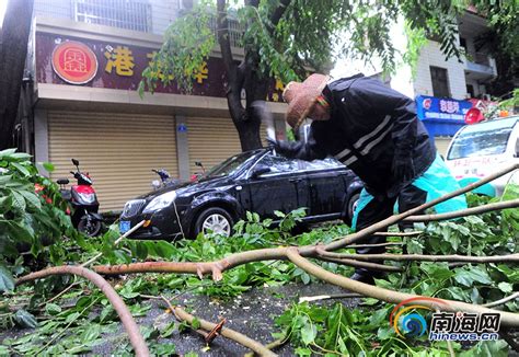 实拍台风“杜苏芮”擦过三亚 树倒车砸多道路被淹 新闻中心 南海网