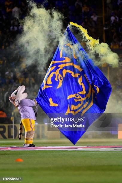 1,489 Monterrey V Pumas Unam Clausura Liga Mx Stock Photos, High-Res ...