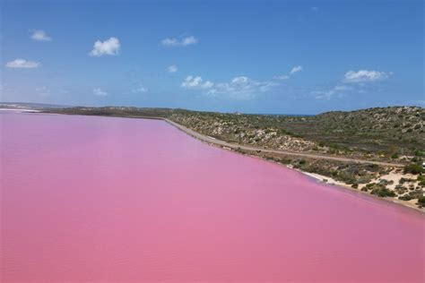 Pink Lake Locations | Western Australia | Pink Lake Road Trips