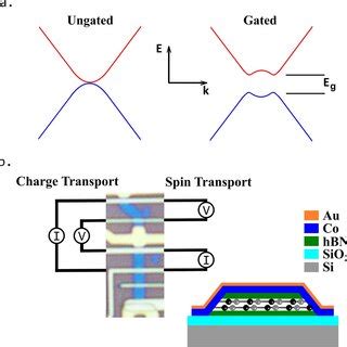 Bilayer graphene transport channel and device. (a) Band structure of ...