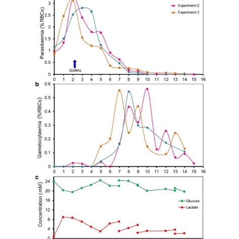 Time course for the development of P. falciparum gametocytes in the... | Download Scientific Diagram