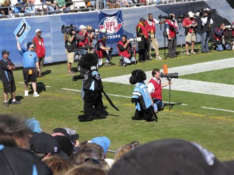 Change The Mascot Carolina Panthers News And Talk Carolina Huddle