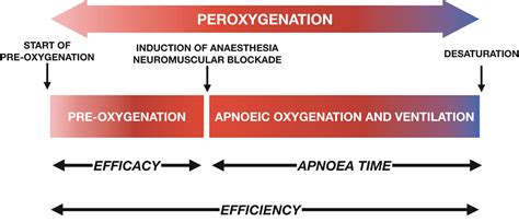 Apnoeic Oxygenation And Ventilation Go With The Flow Patel 2020