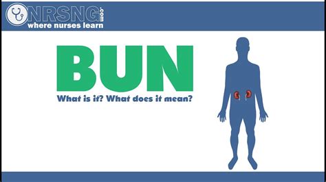 BUN (Blood Urea Nitrogen) What is it? What does it mean? - YouTube