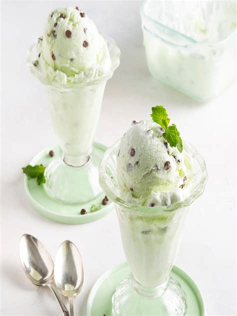 Are Dogs Allowed Mint Ice Cream