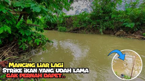 Mancing Liar Cuma Dipinggiran Dapet Banyak Ikan Nila YouTube