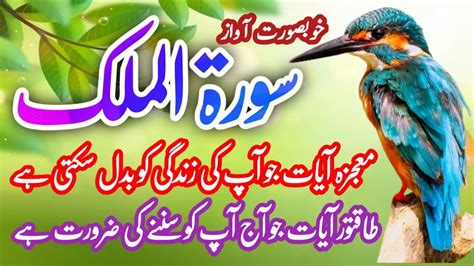 Surah Mulk Ki Telawat Majid Jahangir Official Live Stream Majid