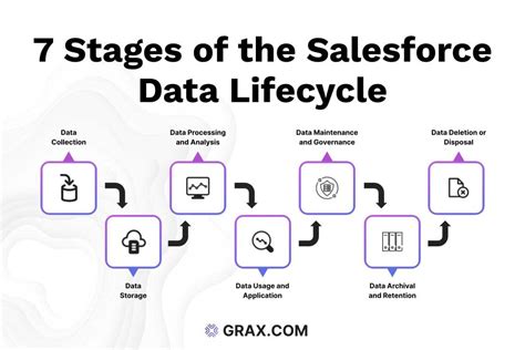 Grax Lifecycle Management Improves Sfdc Data Management