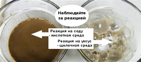 Кислотность почвы для растений таблица
