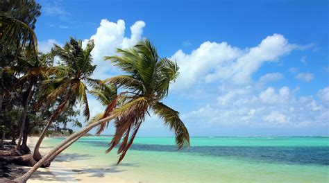 Bavaro Beach in Punta Cana | Expedia.co.uk