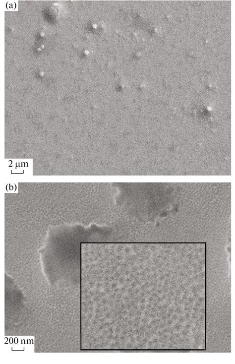 SEM images of (a) the initial surface of a sample of amorphous ... 