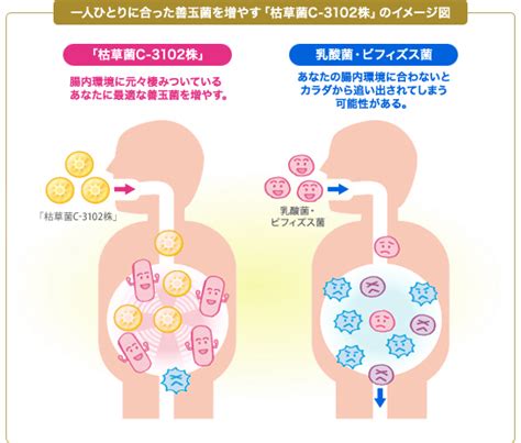 一人ひとりに最適な善玉菌を増やす｜カルピス社の健康情報室