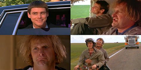 20 of the best moments from the original 'Dumb and Dumber' | The Daily Dot