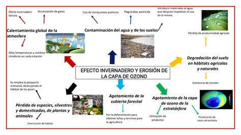 Funcionar A Tientas Artificial Mapa Conceptual Sobre La Capa De Ozono