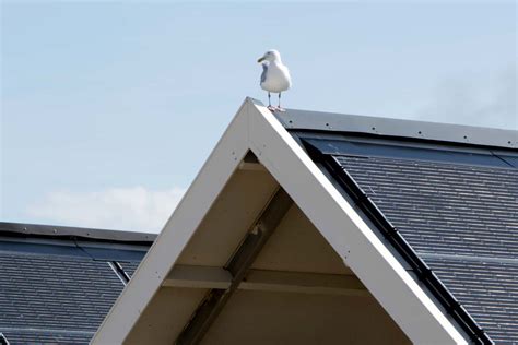 Solar Panel Installation Charleston SC - FireFly Solar