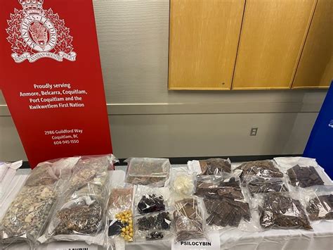 People Charged With Drug Trafficking Crimes In The Tri Cities