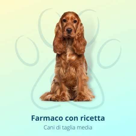 Apoquel 5 4 Mg 100 Compresse Per Cani FarmaPets