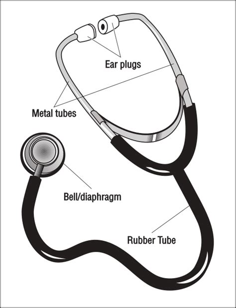 stethescope diagram