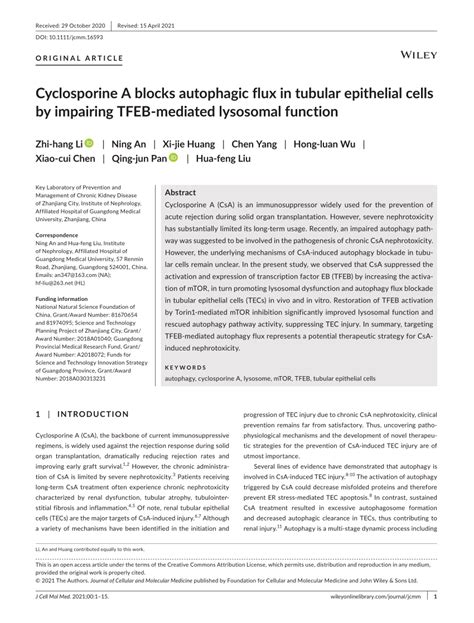 Pdf Cyclosporine A Blocks Autophagic Flux In Tubular Epithelial Cells