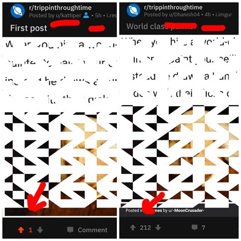 Excuse Me What The Fuck R Memes