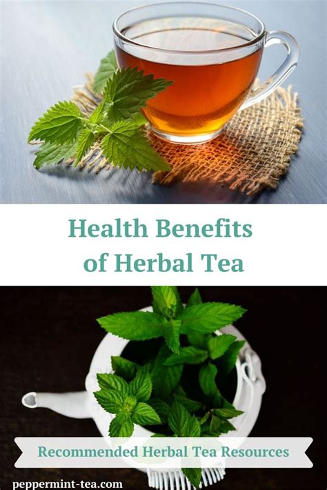 Health Benefits of Herbal Tea - Peppermint Tea & Me