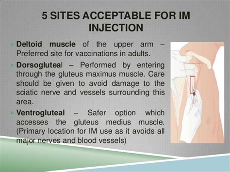 Gluteal Im Injection Technique