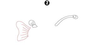 Angler Fish Drawing - Step By Step Tutorial - Cool Drawing Idea