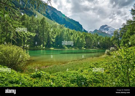 Landscape Panorama Of Lai Da Palpuogna Palpuognasee Mountain Lake