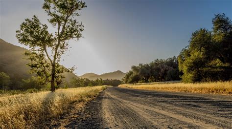 Fotos Gratis Paisaje Rbol Naturaleza Bosque C Sped Al Aire